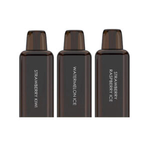 Bash Vape Echo Pro 10K Prefilled Pods