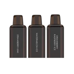 Bash Vape Echo Pro 10K Prefilled Pods